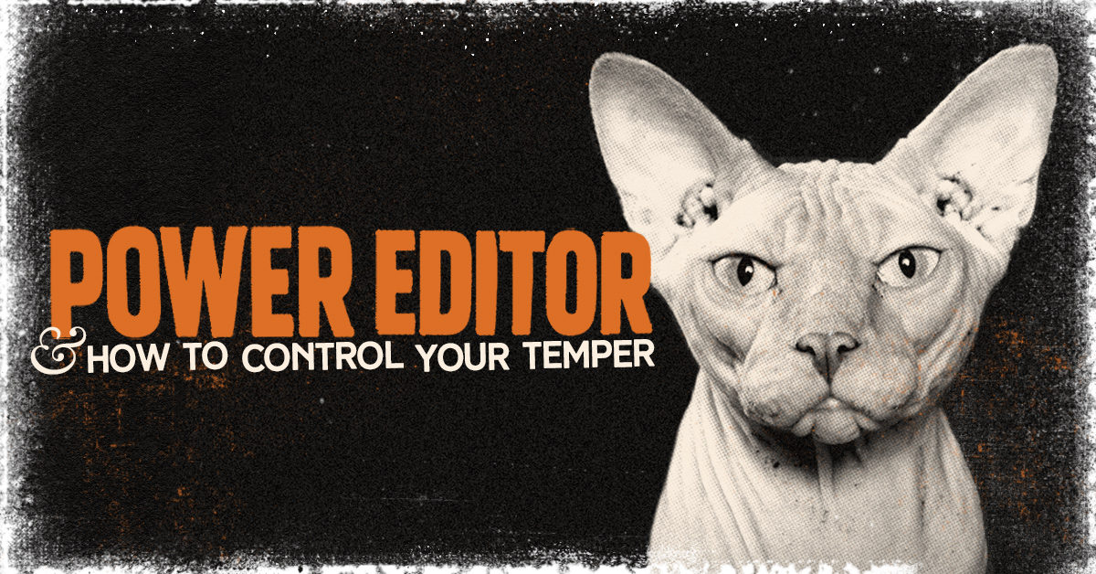 Temperamental Hairless Cat Growing Frustrated with Facebook's Power Editor Tool