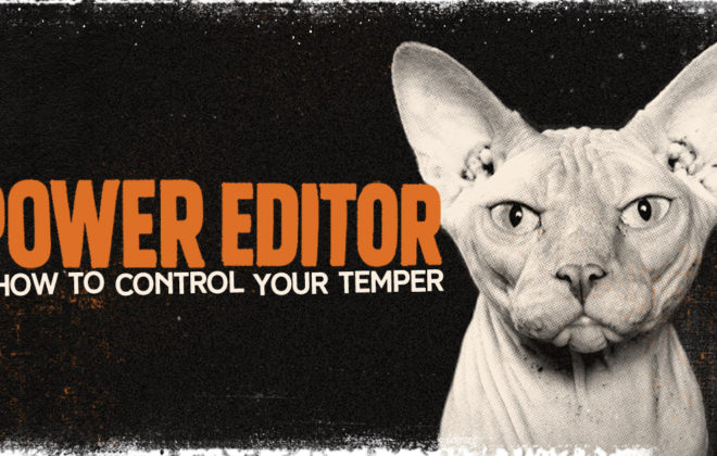 Temperamental Hairless Cat Growing Frustrated with Facebook's Power Editor Tool
